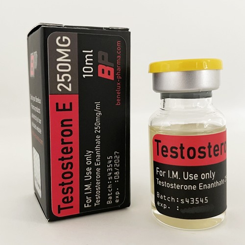 Benelux Pharma Testosteron Enanthate 250mg 10ml 4 benelux pharma testosterone enanthate 250 mg 10 ml