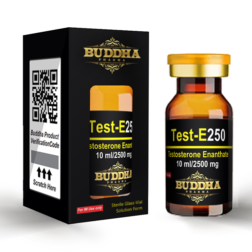 Buddha Pharma Testosteron Enanthate 250mg 10ml | Test E 20 buddha pharma testosteron enanthate 250 mg 10 ml
