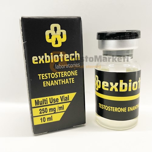 Exbiotech Testosterone Enanthate 250mg 10ml 7 exbiotech testosterone enanthate 250 mg
