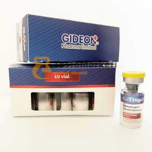 Gideon G-Tropin 300iu 10 Flakon | Büyüme Hormonu 7 gideon g-tropin xl 300iu