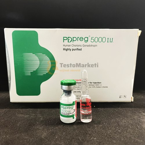 iran pdpreg hcg 5000 iu